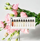 DISCOVERY SET EDP